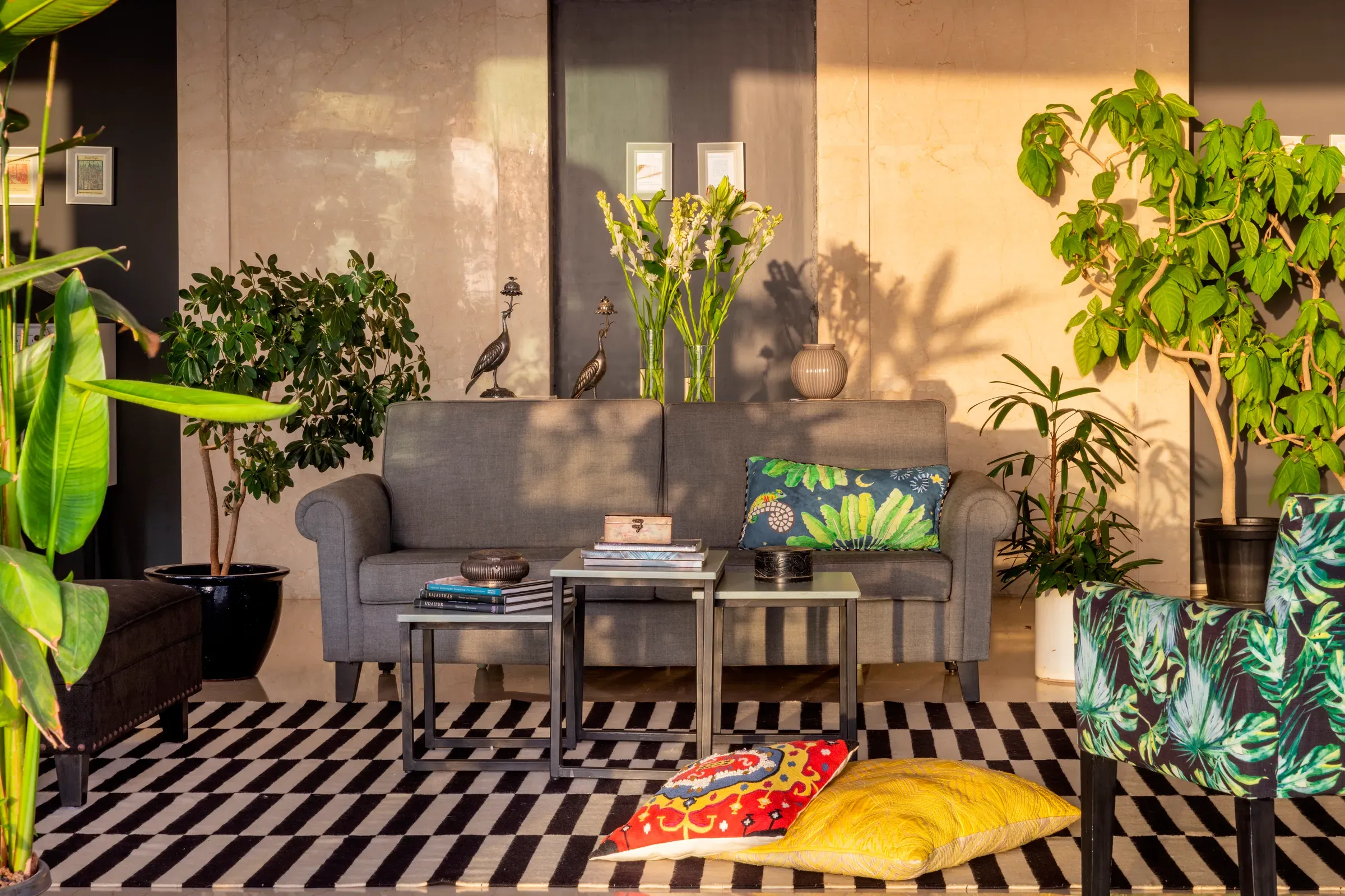 The living room at The Open Horizon, plants against a striped rug
